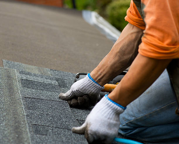 Quick and Trustworthy Emergency Roof Repair Services in Lake Dalecarlia, IN